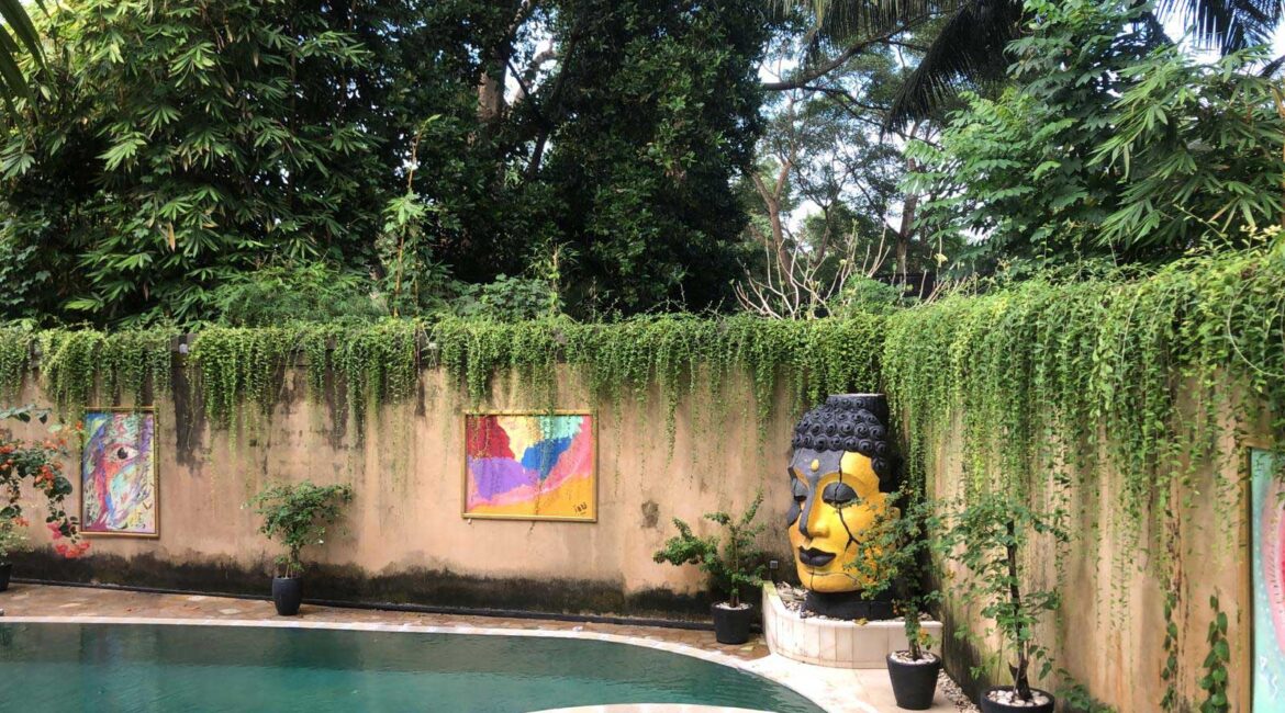 cepaka-village-big-garden-villa-near-by-santuary-bali-for-sale-garden-pool